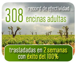 record de efectividad