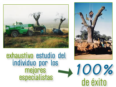 exitogarantizado