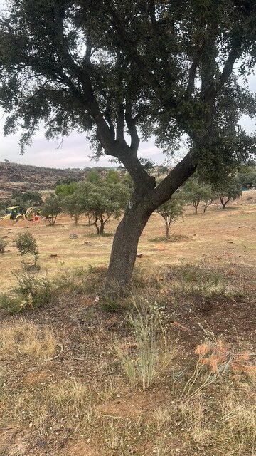 Iniciamos la campaña de trasplantes