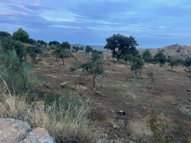 Iniciamos la campaña de trasplantes