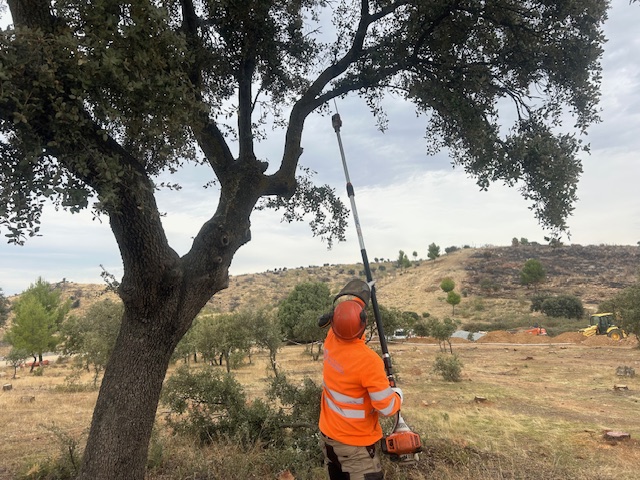 Iniciamos la campaña de trasplantes