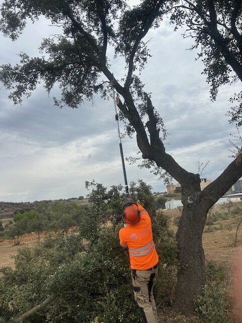 Iniciamos la campaña de trasplantes