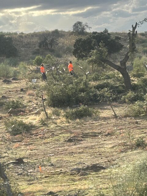 Iniciamos la campaña de trasplantes