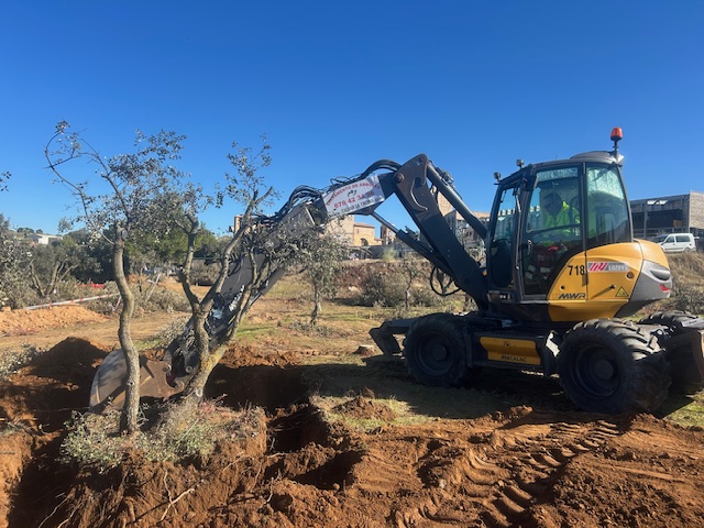 Iniciamos la campaña de trasplantes