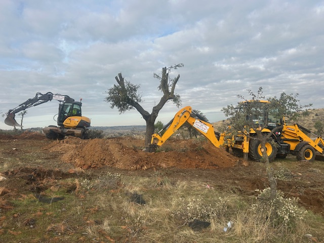 Iniciamos la campaña de trasplantes